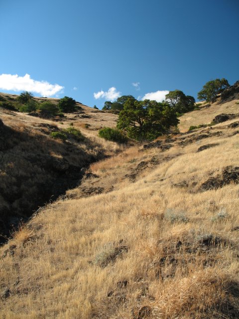 7.30.06 Coyote Wall, Labyrinth 156 